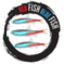 Red Fish Blue Fish - Greenbank, WA, USA