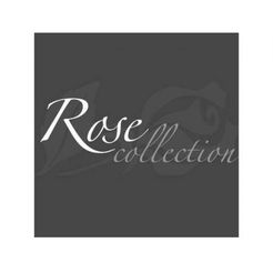 Rose Collection - Aldershot, Surrey, United Kingdom