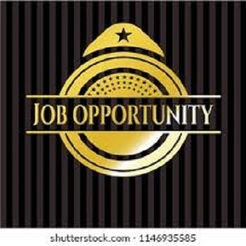 Shining Opportunities - Los Angeles, CA, USA