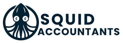 Squid Accountants - Brentwood, Essex, United Kingdom