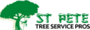 St Pete Tree Service Pros - St  Petersburg, FL, USA