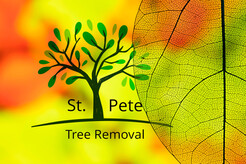 St. Petersburg Tree Removal - St  Petersburg, FL, USA