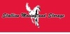 Stallion Moving & Storage - Edmomton, AB, Canada