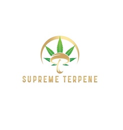 Supreme Terpene DC - Cannabis and mushroom dispensary - Washington, DC, USA