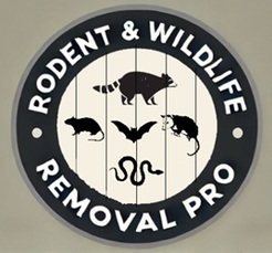 The Rodent & Wildlife Removal Pro - Holiday, FL, USA