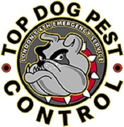 Top Dog London Pest Control - Hampton, Middlesex, United Kingdom