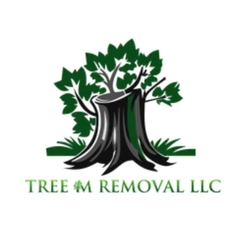 Tree M Removal - Wendell, NC, USA