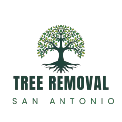 Tree Removal San Antonio - San Antonio, TX, USA