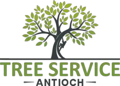 Tree Service Antioch - Antioch, CA, USA