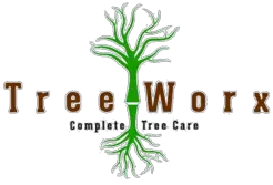 Tree Worx - Chico, CA, USA