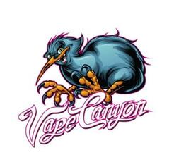 Vape Canyon - Wellington Vape Store - Te Aro, Wellington, New Zealand