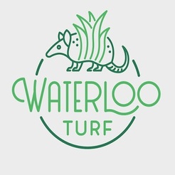 Waterloo Turf - Austin, TX, USA