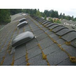 West Coast Roof Cleaning - Vancouver, BC, Canada