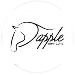 vinyl horse jump cups - Waterbury, CT, USA