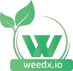 weedxio - San Diego, CA, USA