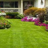 A+ Turf Grass Installer - Los Angeles, CA, USA