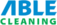 Able Cleaning FL - Land O Lakes, FL, USA