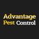 Advantage Pest Control & Termite - Georgetown, TX, USA