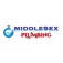 All Middlesex Plumbing - Edison, NJ, USA