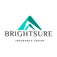 BRIGHTSURE INSURANCE GROUP - Naples, FL, USA