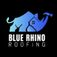 Blue Rhino Roofing - Houston, TX, USA