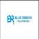 Blue Ribbon Plumbing - Abbotsford, BC, Canada