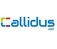 Callidus Air - Henderson, NV, USA