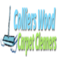 Colliers Wood Carpet Cleaners Ltd - London, London E, United Kingdom