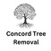 Concord Tree Removal - Concord, NH, USA