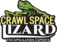 Crawlspace Lizard - Roswell, GA, USA