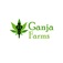 Ganja Farms - Venice, CA, USA