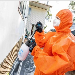 Greener way Asbestos Removal - Sydney NSW, ACT, Australia