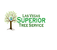 Las Vegas Superior Tree Service - Las Vegas, NV, USA