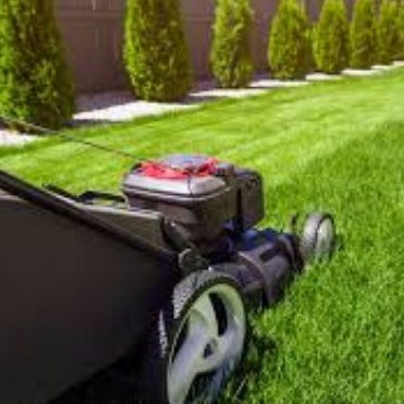 Lawn Care Inc - Austin, TX, USA