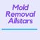 Mold Removal Allstars - Tampa, FL, USA