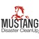 Mustang Disaster CleanUp - Story City, IA, USA