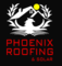 Phoenix Roofing and Solar - Parma, OH, USA