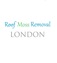 Roof Moss Removal London - Landon, Greater London, United Kingdom