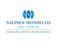 Salines-Mondello Law Firm, PC - Wilmington, NC, USA