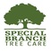 Special Branch Tree Care - Southampton, Hampshire, United Kingdom