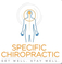 Specific Chiropractic - Boca Raton, FL, USA