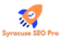 Syracuse SEO Pro - Camillus, NY, USA