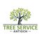 Tree Service Antioch - Antioch, CA, USA