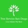 Tree Service San Diego - San Diago, CA, USA